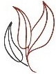 Airiña